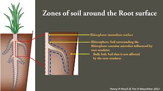 Plant Microbe interactions in the rhizosphere [upl. by Adnarb]