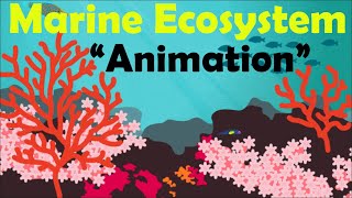 MARINE ECOSYSTEM  Biology Animation [upl. by Wiencke]