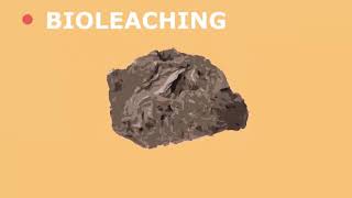 Future Extraction Methods Bioleaching and Phytomining [upl. by Derfla]