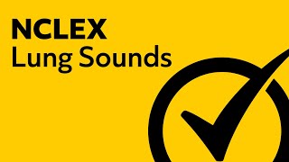 Lung Sounds  NCLEX Review [upl. by Kinemod]