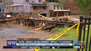 After Ellicott City flood calls to stop development but how does it really impact flooding [upl. by Sidra872]