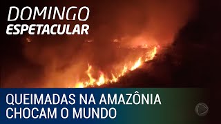 Queimadas na Amazônia chocam o mundo [upl. by Phillie]