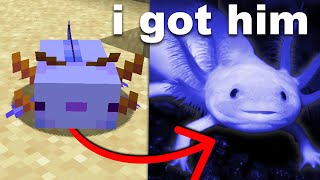 I Bought a Minecraft Axolotl in Real Life [upl. by Caldera]