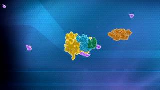 Ubiquitin Mediated Protein Degradation Explanation by Aaron Ciechanover [upl. by Imotas]