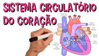 ✅ SISTEMA CARDIOVASCULAR  SISTEMA CIRCULATÓRIO DO CORAÇÃO [upl. by Itirp111]