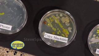 Growing Bacteria  Petri Dish [upl. by Hayashi]