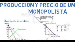 Monopolio  Cap 20  Microeconomía [upl. by Maighdiln]