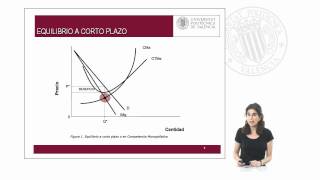 Competencia monopolística   UPV [upl. by Eisiam]