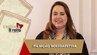 Explica Direito Filiação Socioafetiva  2019 [upl. by Linell]