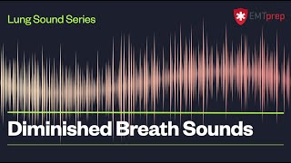 Vesicular Breath Sounds  EMTprepcom [upl. by Dirrej]