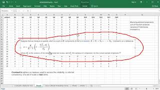 Cronbachs Alpha  Excel [upl. by Arik]