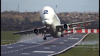 Airbus Beluga 2 Takeoff 30knots CrossWind [upl. by Flight]