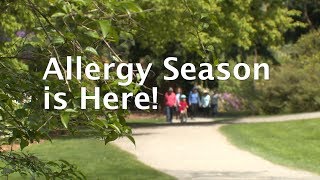 Food Allergy Causes Signs and Symptoms Diagnosis and Treatment [upl. by Marya]