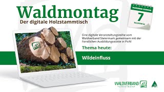 20210308WaldmontagWildeinfluss [upl. by Kevina]