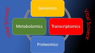 Metabolomics [upl. by Leirza747]