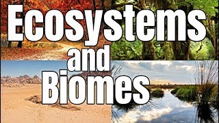 Ecosystems and Biomes  Classroom Learning Video [upl. by Renruojos]