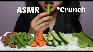 ASMR Extreme Satisfying Crunch EATING SOUND NO TALKING  SAS ASMR [upl. by Platas790]