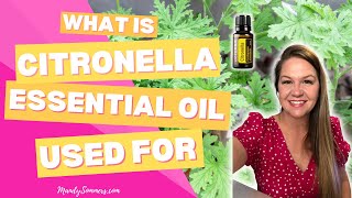 What is Citronella Essential Oil Used For [upl. by Eirallih]