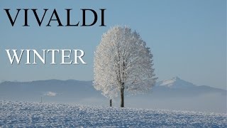 VIVALDI  The Four Seasons Winter quotLinvernoquot FULL  Classical Music HD [upl. by Treiber785]