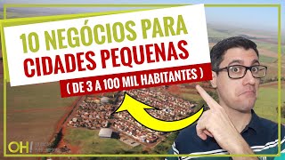 10 NEGÓCIOS PARA CIDADES PEQUENAS DE 3 A 100 MIL HABITANTES  EMPREENDA NEGÓCIOS LUCRATIVOS [upl. by Tempa910]