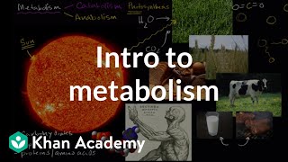 Introduction to metabolism anabolism and catabolism  Khan Academy [upl. by Pardo220]