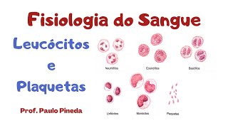 Fisiologia do Sangue  Leucócitos e Plaquetas [upl. by Sukhum]