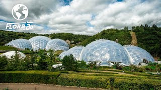 They Built a Rainforest Ecosystem inside a Geodesic Dome [upl. by Nodlehs]