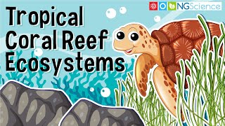 Tropical Coral Reef Ecosystems [upl. by Dido]