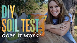 Easy DIY Soil Test [upl. by Eanar147]