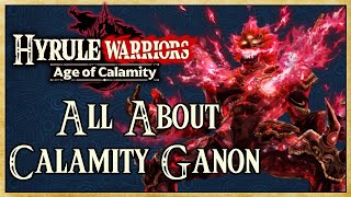 All About Calamity Ganon FULL GUIDE  Hyrule Warriors Age of Calamity  Warriors Dojo [upl. by Clerissa]