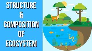 Structure amp Composition of Ecosystem  Environmental Science  EVS  Letstute [upl. by Randie]