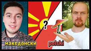 Macedonian Language VS Polish  How similar are Slavic Languages [upl. by Aleit]