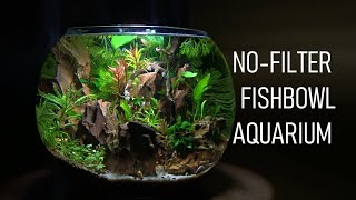 How To Set Up A FISHBOWL The RIGHT Way  No Filter  No Heater  Aquarium Setup [upl. by Vadim]