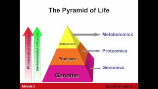 Introduction to Metabolomics [upl. by Nohsal383]