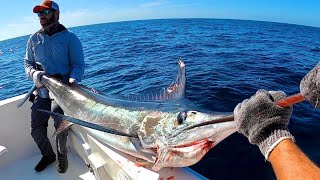 Pesca de Marlin Rayado en Mazatlán 100 lbs [upl. by Ocer176]