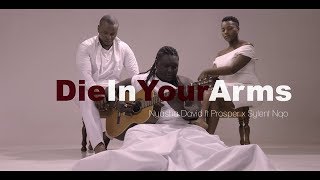 Nyasha David Ft Sylent Nqo amp Prosper  Die in your arms Official Video [upl. by Norehs]