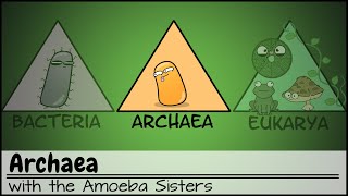 Archaea [upl. by Netsrejk]