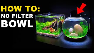 HOW TO NO FILTER BOWL AQUARIUM SETUP  MD FISH TANKS [upl. by Burr381]