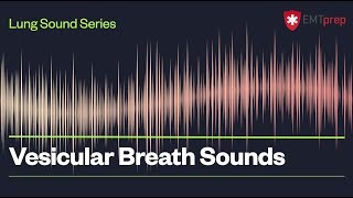 Fine Crackles Rales  Lung Auscultation  Episode 2 [upl. by Namref]