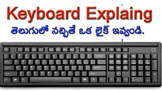 Computer Key Board Explain  Computer Keyboard Telugu [upl. by Knudson741]