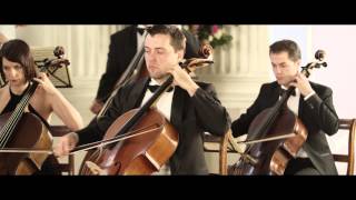 Vivaldi The Four Seasons Summer LEstate 3rd movement [upl. by Abramson]