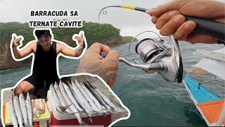 Barracuda Spot Ternate Cavite HARVEST [upl. by Dub]