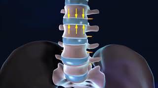 Columna Vertebral Biomecánica y flexión [upl. by Roumell]