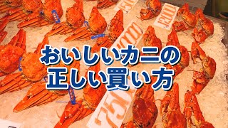 【公式】カニの正しい買い方 [upl. by Anamor57]