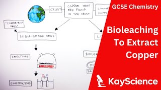 Using Bioleaching To Extract Copper  GCSE Chemistry  kaysciencecom [upl. by Fulbert58]