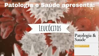 Histologia  Sangue O que são leucócitos [upl. by Refynnej]