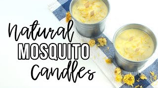 How to Make Natural Mosquito Candles with Essential Oils [upl. by Cas]