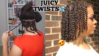 How To Twists Natural Hair Properly As A Protective Style  No Added Hair Needed [upl. by Arikal]