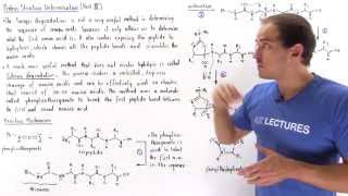 Edman Degradation [upl. by Itsur]