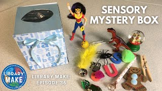 DIY Literacy Sensory Mystery Box LIBRARY MAKE [upl. by Emmalee330]